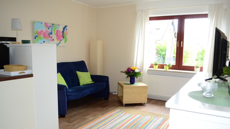 A cozy living room with a blue sofa and colorful cushions. A window lets in plenty of daylight, and a small table with a flower vase stands in the corner.