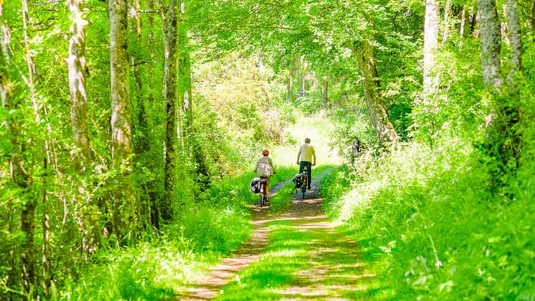 Two people are riding bicycles on a green path through a forest. The surroundings are bright and sunny, surrounded by trees and lush grass.