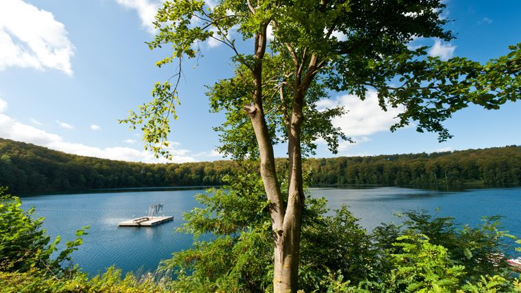 Ein ruhiger See umgeben von Bäumen und grüner Vegetation. Der Himmel ist klar und sonnig, ideal für einen entspannten Tag in der Natur.
