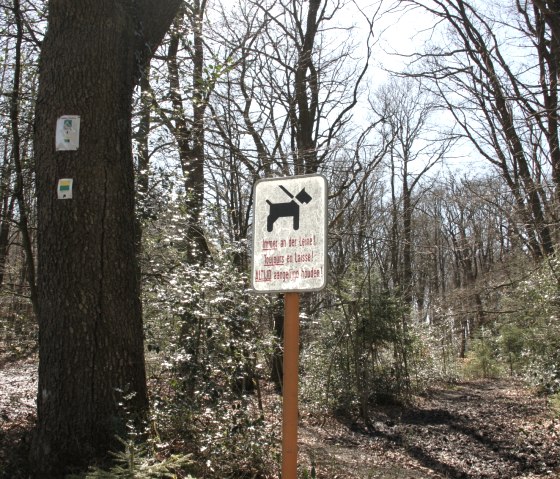De Eifelsteig leidt naar de Hoge Venen in België, © Eifel Tourismus