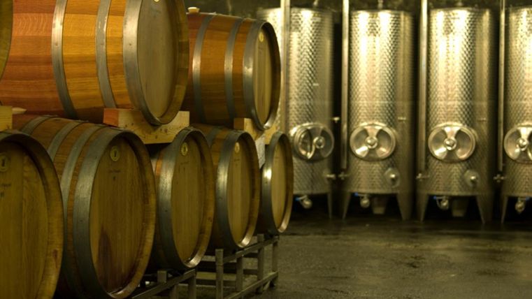 Een wijnkelder met houten vaten en roestvrijstalen containers. De sfeer is donker en rustiek.