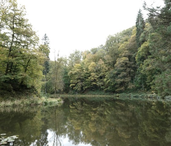 Burgweiher im Herbst, &copy; GesundLand Vulkaneifel GmbH