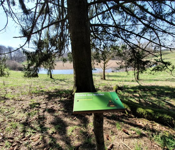 M&auml;&auml;rchenpfad, &copy; GesundLand Vulkaneifel GmbH