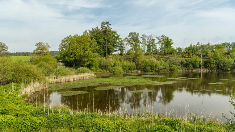 Der kreisrunde See des Eichholzmaares liegt mitten zwischen Wiesen vor uns zwischen einigen Bäumen. Der Himmel ist strahlend blau mit vereinzelten Wolken.