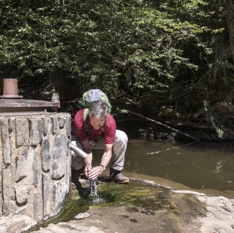 Strotzb&uuml;scher Quelle, &copy; &copy; Natur- und Geopark Vulkaneifel GmbH