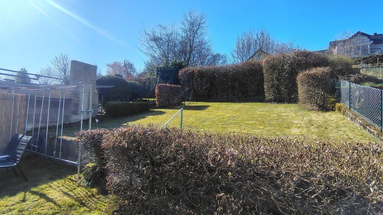 Ein sonniger Garten mit grünem Rasen und einer lebenden Hecke. Im Hintergrund sind Bäume und Häuser sichtbar.