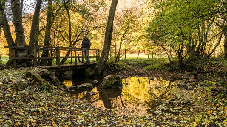 Ein Mann steht auf einer Holzbrücke über einen kleinen Bach in einem herbstlichen Wald.
