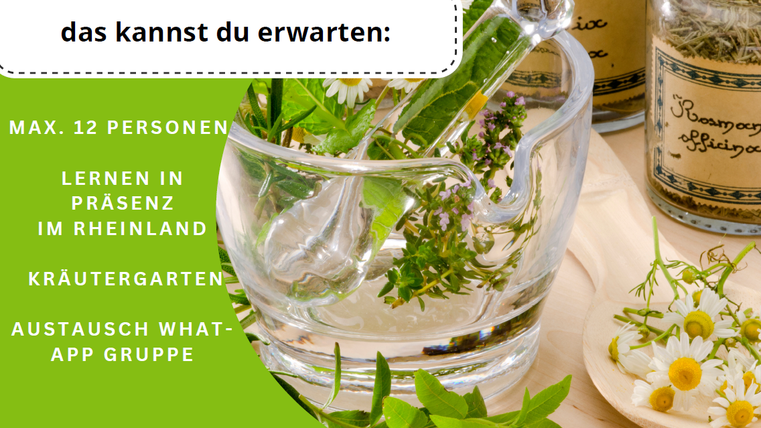 Een vijzel met verse kruiden en bloemen in een kruidentuin. Informatie over een leertraject voor maximaal 12 personen in Rijnland.