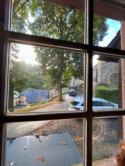 A view through a window of a picturesque street with trees and houses. The sun is shining and there is a calm atmosphere in the air.