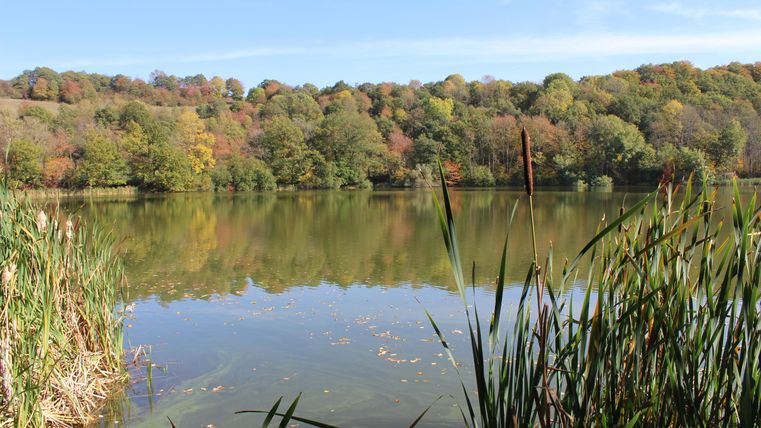 Ein ruhiger See umgeben von bunten Bäumen im Herbst. Das klare Wasser spiegelt die Landschaft wider.