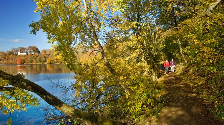 Ein malerischer Weg am Wasser, umgeben von bunten Herbstbäumen. Zwei Personen spazieren entspannt entlang des Ufers.
