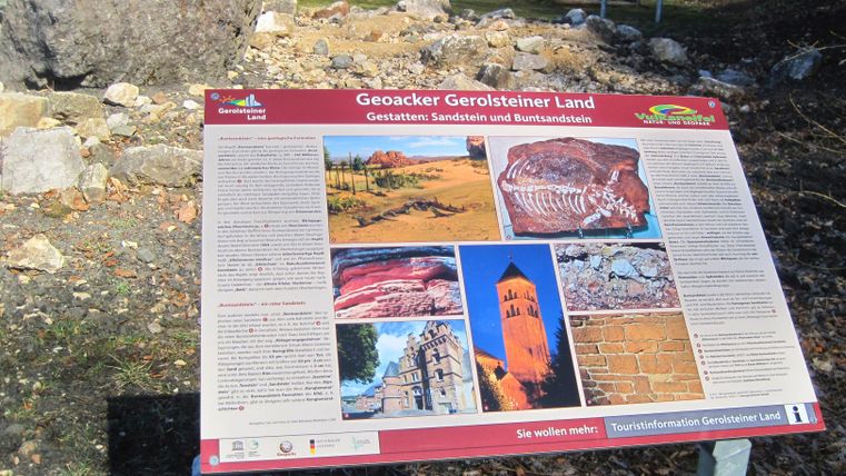 Infotafel im Geoacker Gerolsteiner Land über Sandstein und Buntsandstein, umgeben von Steinen und Natur. Hintergrund zeigt Bäume und Hügel.