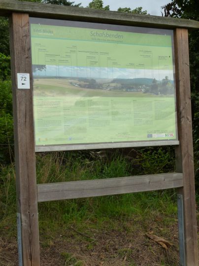 Ein Informationsschild steht in der Natur. Es zeigt Karten und Informationen über die Umgebung.