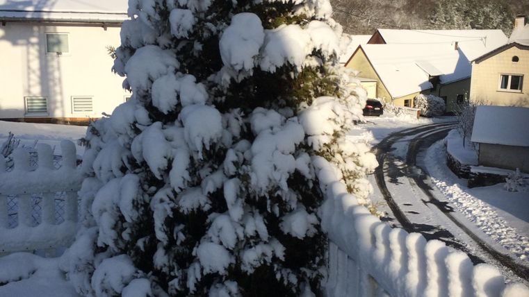 Ein schneebedeckter Baum steht in einer winterlichen Landschaft. Im Hintergrund sind Häuser und ein klarer blauer Himmel zu sehen.