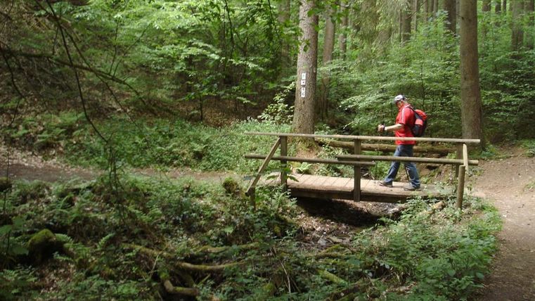 Ein Wanderer überquert eine kleine Brücke in einem grünen Wald. Die Umgebung ist ruhig und von Bäumen und Gestrüpp umgeben.