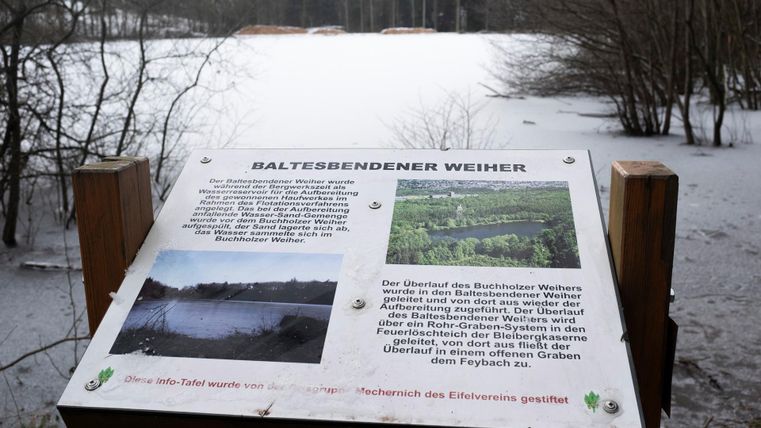 Uitzicht op de bevroren Baltesbender Weiher in de winter