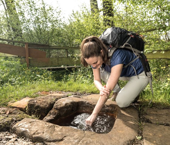 Rafraîchis-toi à la source minérale Steffelner Drees, © Eifel Tourismus GmbH, D. Ketz