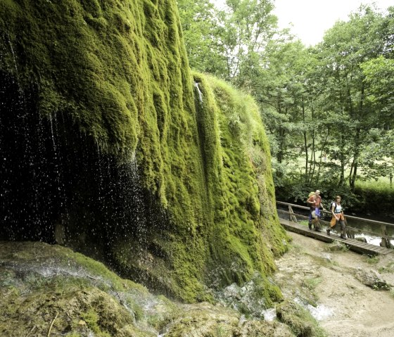 Eifelsteig, Nohner Wasserfall, © Rheinland-Pfalz Tourismus GmbH - Dominik Ketz