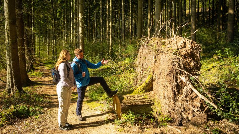Twee personen staan in het bos naast een omgevallen boom. Ze discussiëren en verkennen de natuur om zich heen.