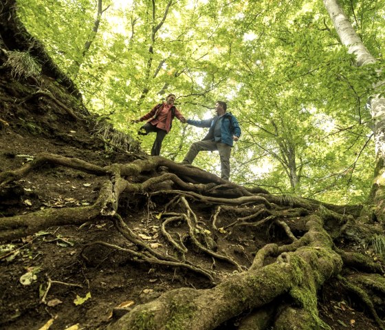 Samen door ongerepte bossen op de Schneifel Trail, © Eifel Tourismus GmbH, D. Ketz