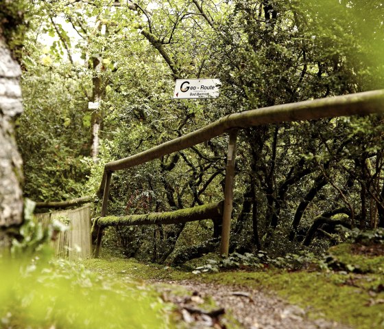 im Palmberg Bad Bertrich an der Geo-Route, &copy; GesundLand Vulkaneifel GmbH