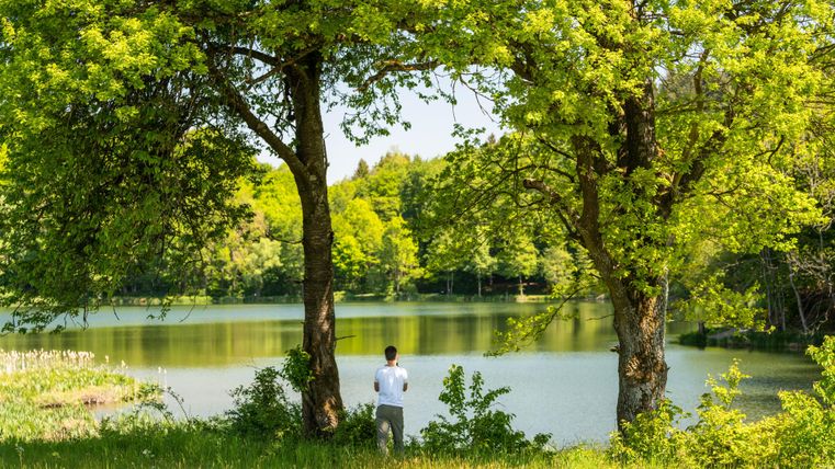 Ein ruhiger See umgeben von grünen Bäumen. Eine Person steht am Ufer und genießt die natürliche Schönheit der Landschaft.