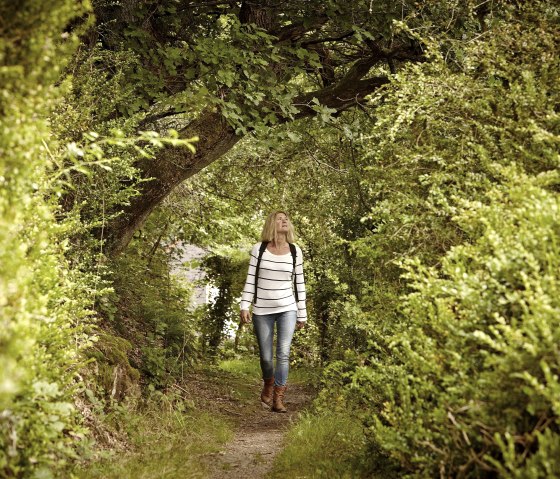 im Palmberg Bad Bertrich, &copy; GesundLand Vulkaneifel GmbH