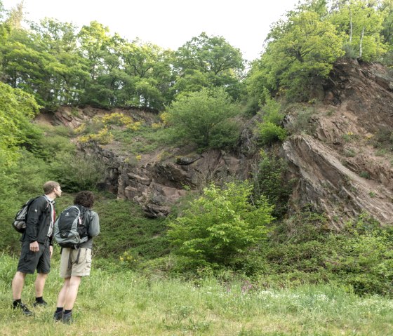 Regard sur l'histoire de la terre sur le sentier de l'Eifel près de Großlittgermühle, © Eifel Tourismus GmbH, D. Ketz