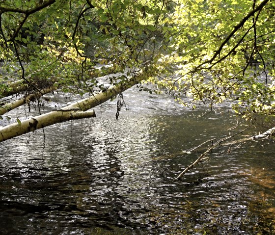 The Rur also passes by, &copy; Karl-Heinz Rosenzweig, Der-eifelyeti.de, &copy; Der-eifelyeti.de