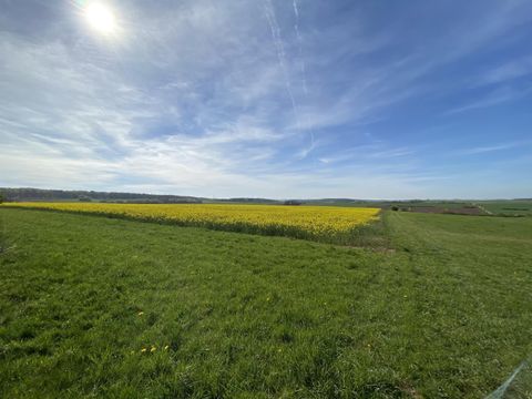 Eine weite Landschaft mit grünen Wiesen und einem blühenden Rapsfeld. Der Himmel ist klar und sonnig.