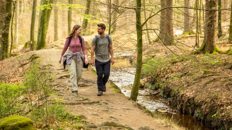 Ein Paar geht Hand in Hand auf einem schmalen Weg durch einen Wald. Im Hintergrund fließt ein kleiner Bach zwischen den Bäumen.