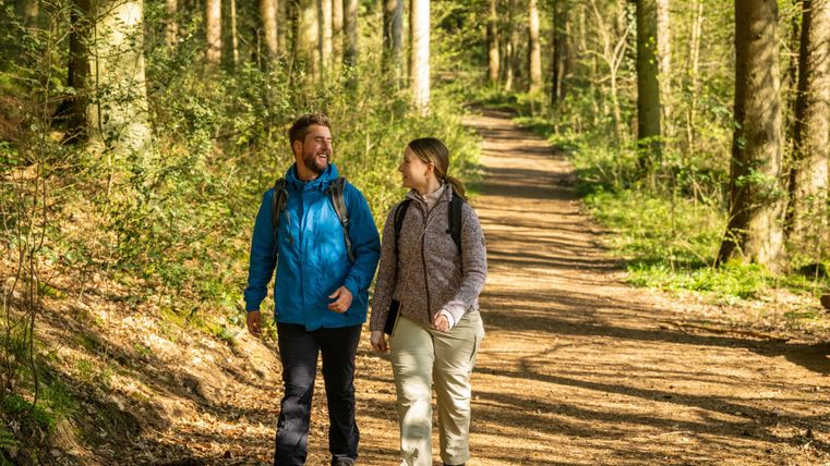 Ein Paar wandert einen malerischen Waldweg entlang. Die Sonne scheint durch die Bäume und schafft eine einladende Atmosphäre.