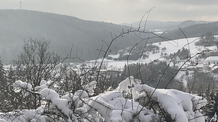 Eine verschneite Landschaft mit Hügeln und Bäumen. Der Himmel ist wolkenverhangen und die Natur wirkt ruhig und idyllisch.