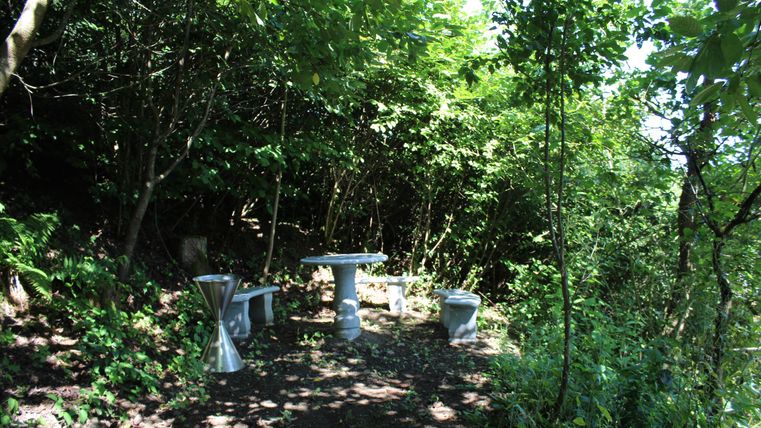 Ein ruhiger, grüner Bereich im Wald mit einem Tisch und Stühlen aus Metall. Die Umgebung ist dicht bewachsen und spendet Schatten.