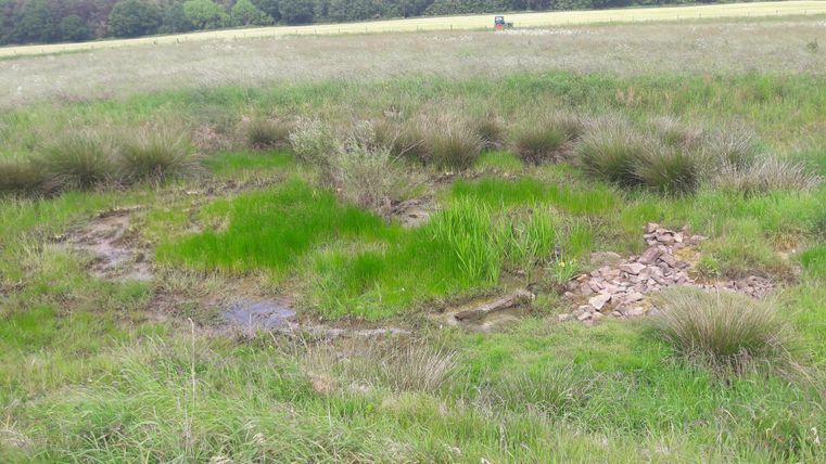 Een groot grasveld met hoog gras en kleine, vlakke heuveltjes. Op de voorgrond zijn enkele stenen overblijfselen te zien.