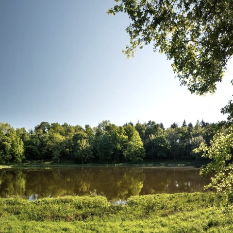 Blick auf den Windsborn Krater, &copy; GesundLand Vulkaneifel GmbH