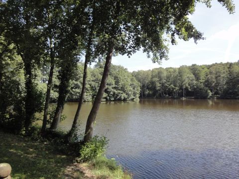 Een rustige meer omringd door bomen en groene vegetatie. Het wateroppervlak weerspiegelt de natuur.