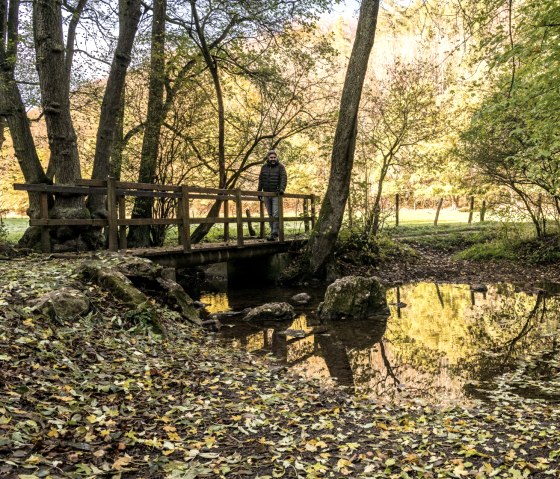 Le long du Gillesbach sur l'&eacute;tape 6 de l'Eifelsteig, &copy; Eifel Tourismus GmbH, D. Ketz