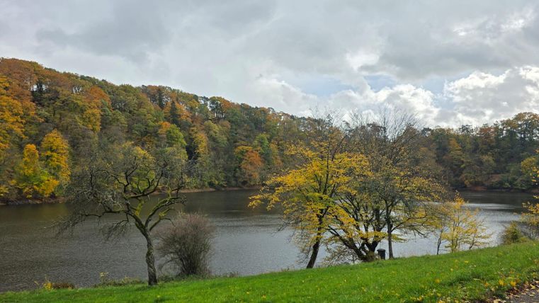 Een rustige vijver omringd door kleurrijke herfstbladeren. De lucht is bewolkt en er staan enkele bomen aan de oever.