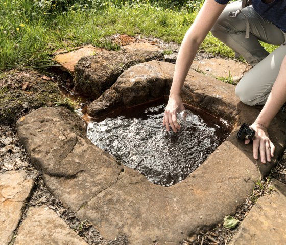 Eine Person f&uuml;llt Wasser aus einer nat&uuml;rlichen Quelle in ein Glas. Die Quelle ist von Steinen umgeben und liegt in einer gr&uuml;nen Umgebung., &copy; Eifel Touristik Gmbh by Dominik ketz