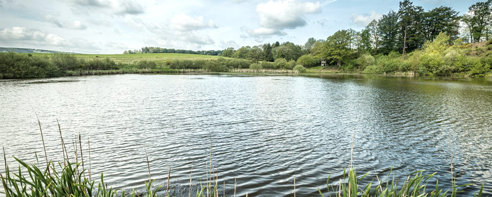 ET-2019-371-Vulcanpfad, Eichholzmaar, © Eifel Tourismus GmbH, Dominik Ketz