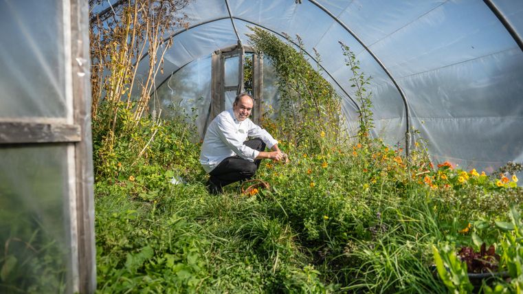 Ein Garten mit vielen Pflanzen und Blumen in einem Gewächshaus. Eine Person sitzt im Garten und kümmert sich um die Pflanzen.