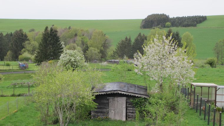 Ein grünes Feld mit Bäumen und einem kleinen Schuppen. Die Landschaft wirkt ruhig und ländlich.