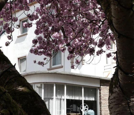 Film-Fotomuseum Bad Bertrich-5, &copy; GesundLand Vulkaneifel