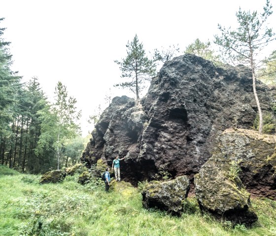 Wollmerather Kopp sur le sentier des lacs et des thermes dans l'Eifel, &copy; Eifel Tourismus GmbH, D. Ketz
