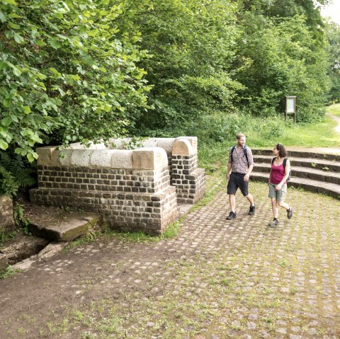 Au Grüner Pütz près de Nettersheim, © Eifel Tourismus Gmb; D. Ketz