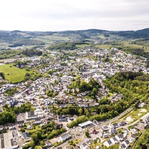 Daun, &copy; Dominik Kretz