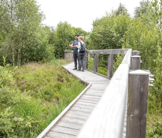 Hiking over footbridges, Palsen near Monschau-Mützenich, © Eifel Tourismus GmbH, AR-shapefruit AG