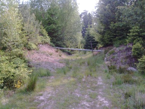 Ein Waldweg mit Gras und Bäumen, gesperrt durch eine Schranke. Üppige Vegetation umgibt den Pfad.