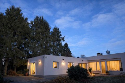 Een modern huis omringd door hoge bomen bij schemerlicht. De ramen zijn fel verlicht en creëren een uitnodigende sfeer.